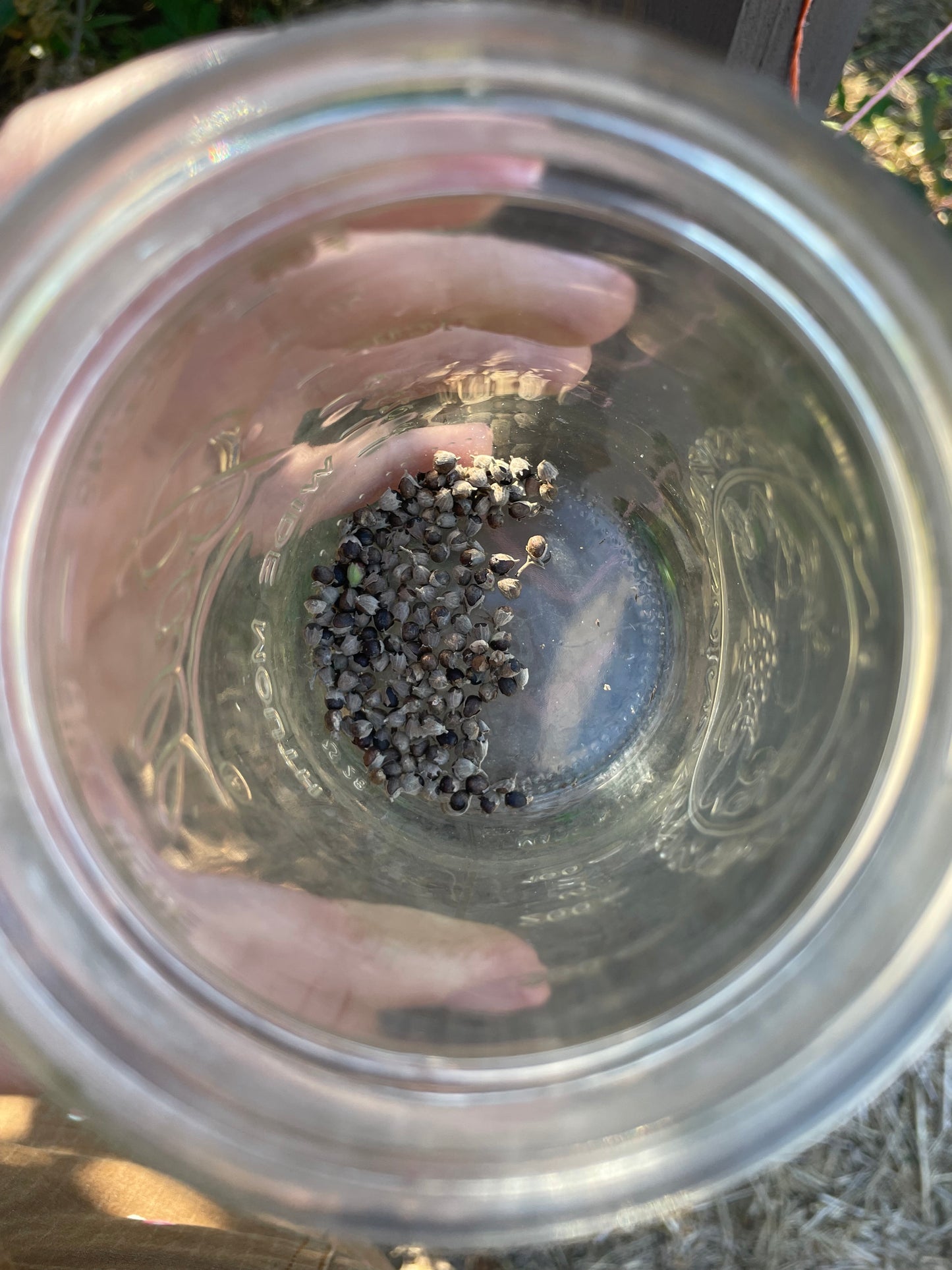 Chaste Berry Tea - package
