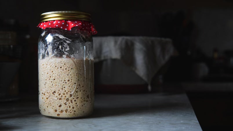 Sourdough Starter