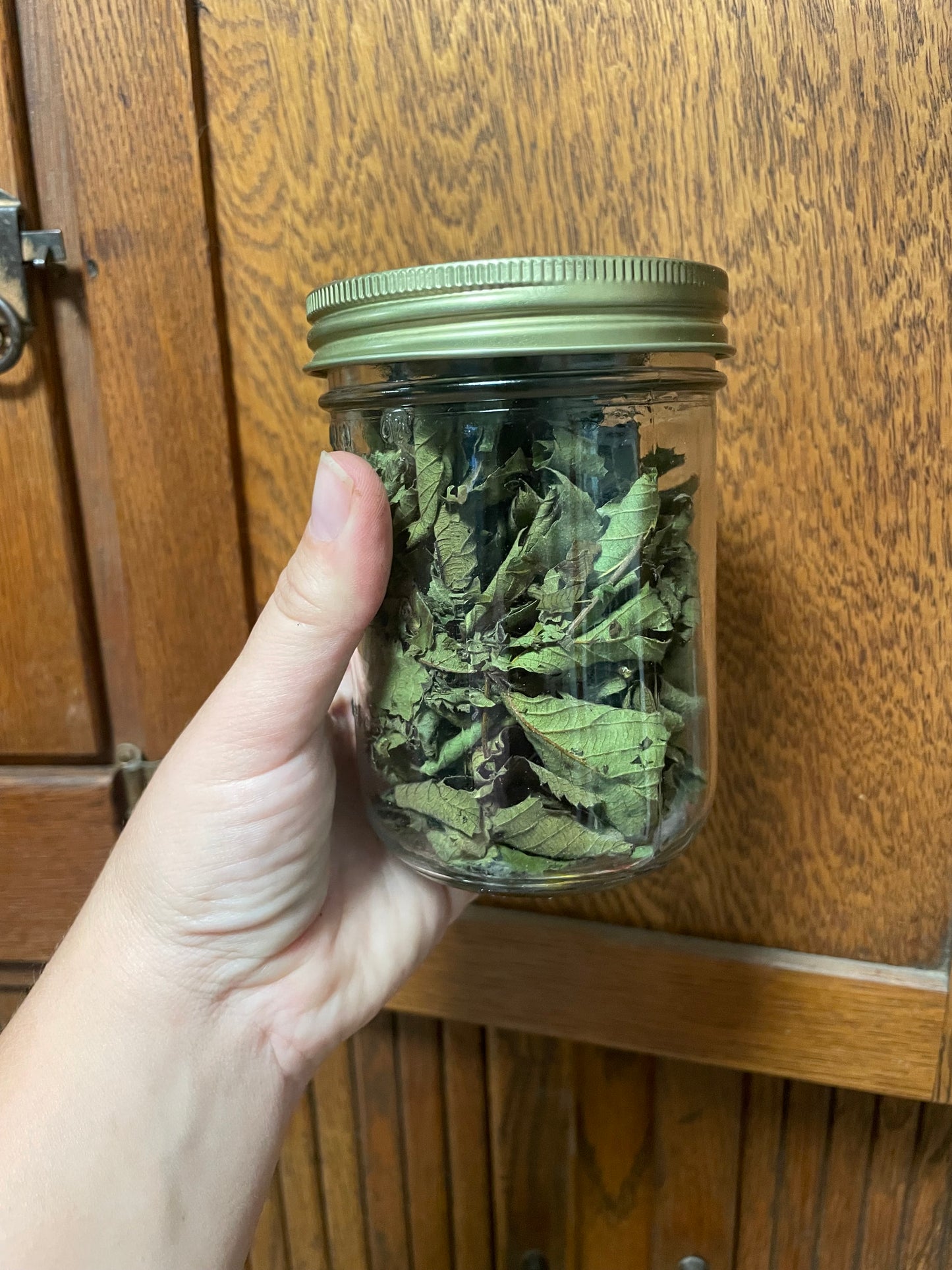 Blackberry Leaf Tea - package