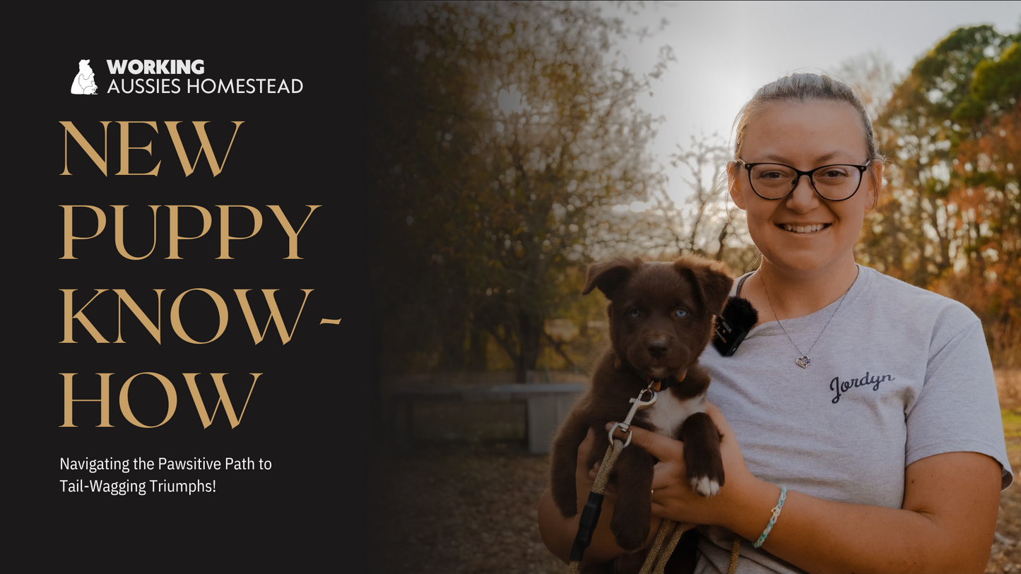 NEW Puppy Know-How VIP