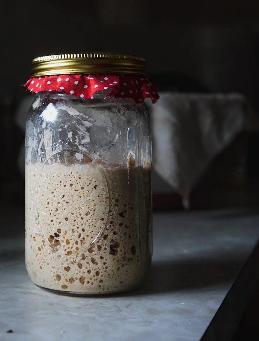 Sourdough Starter