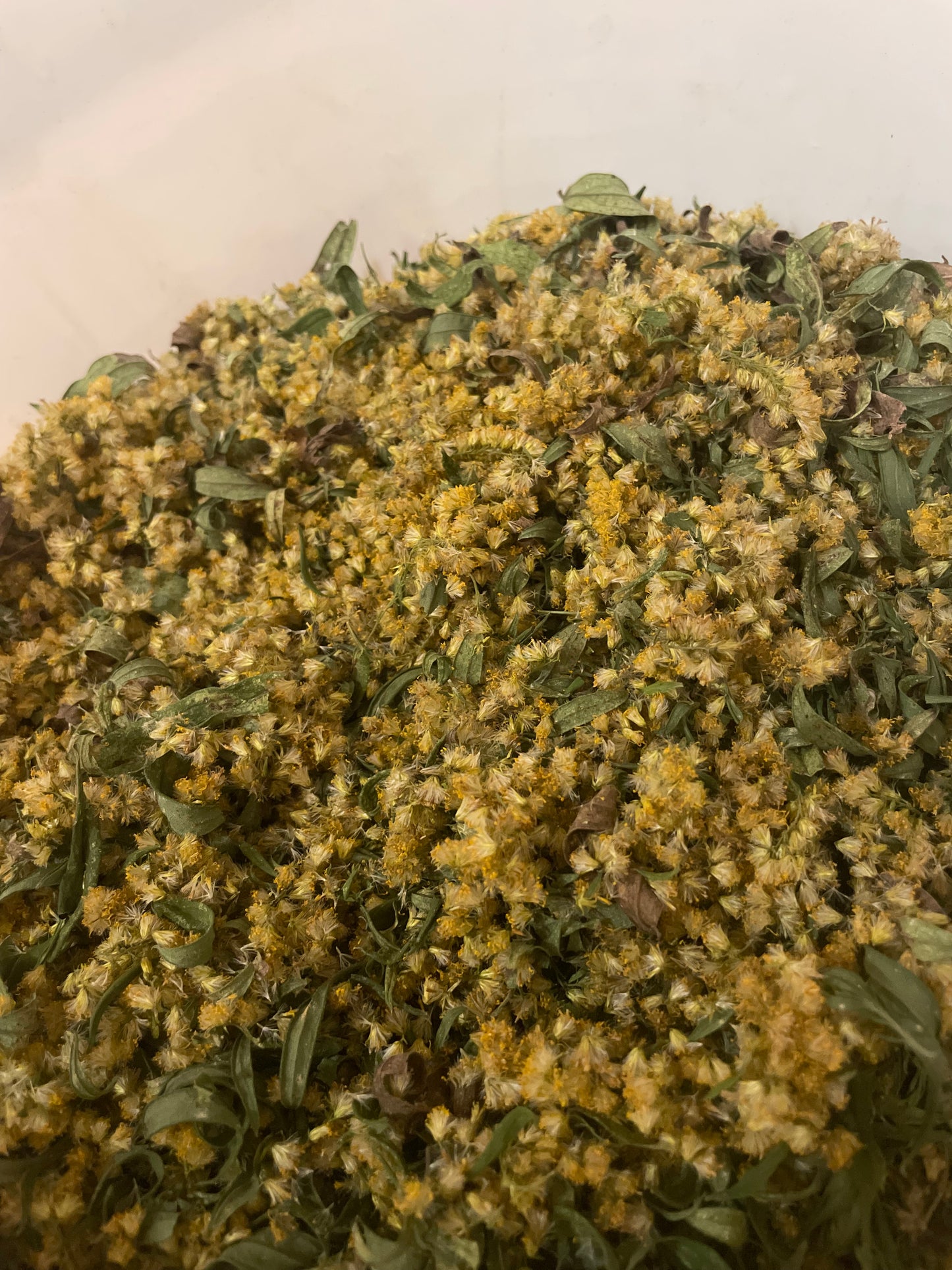 Goldenrod, Dried - Package Tea