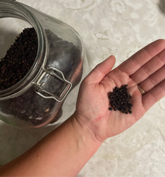 Elderberry Tea - package