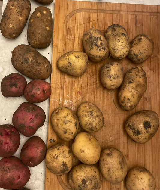 Potatoes