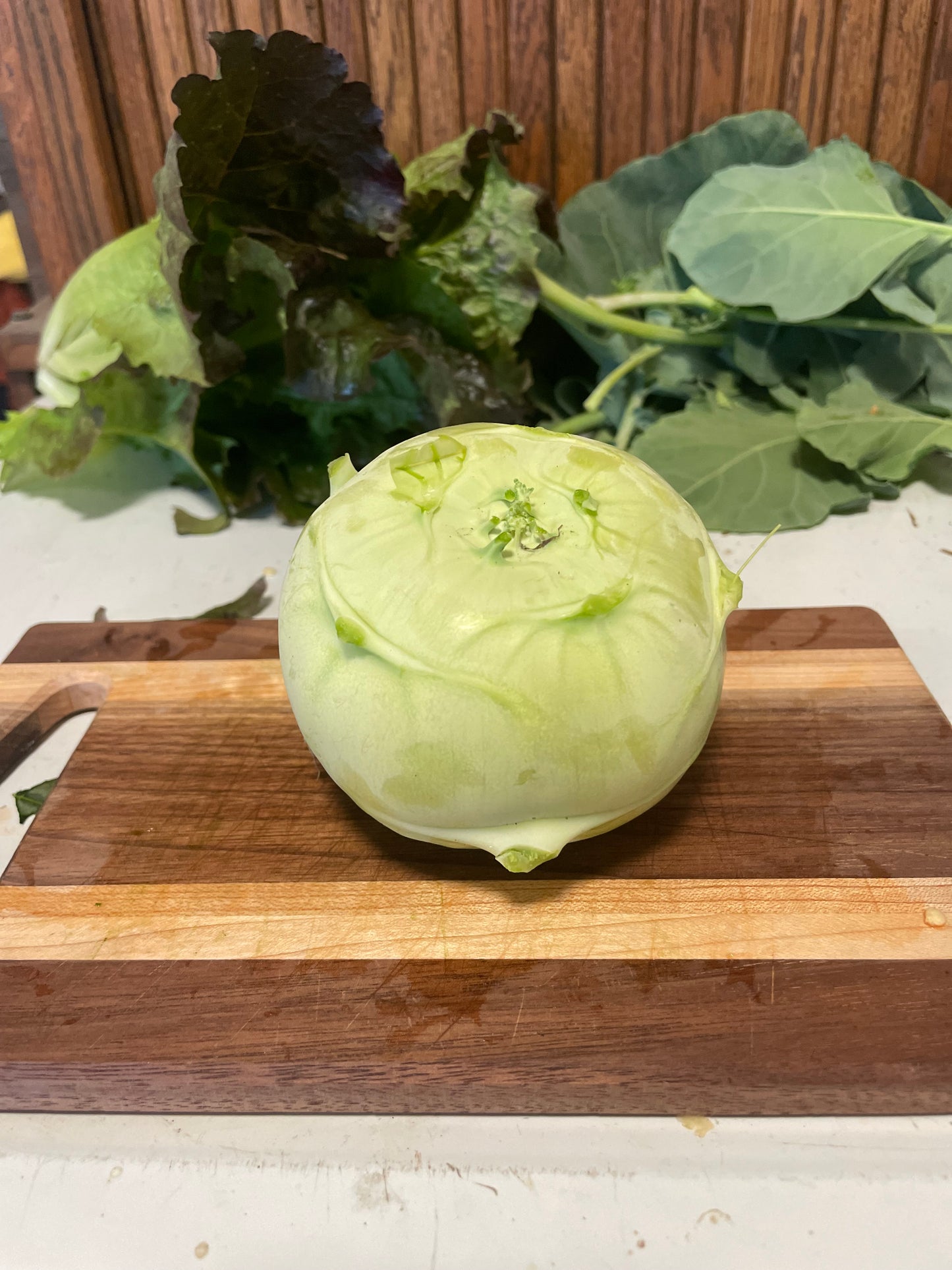Kohlrabi
