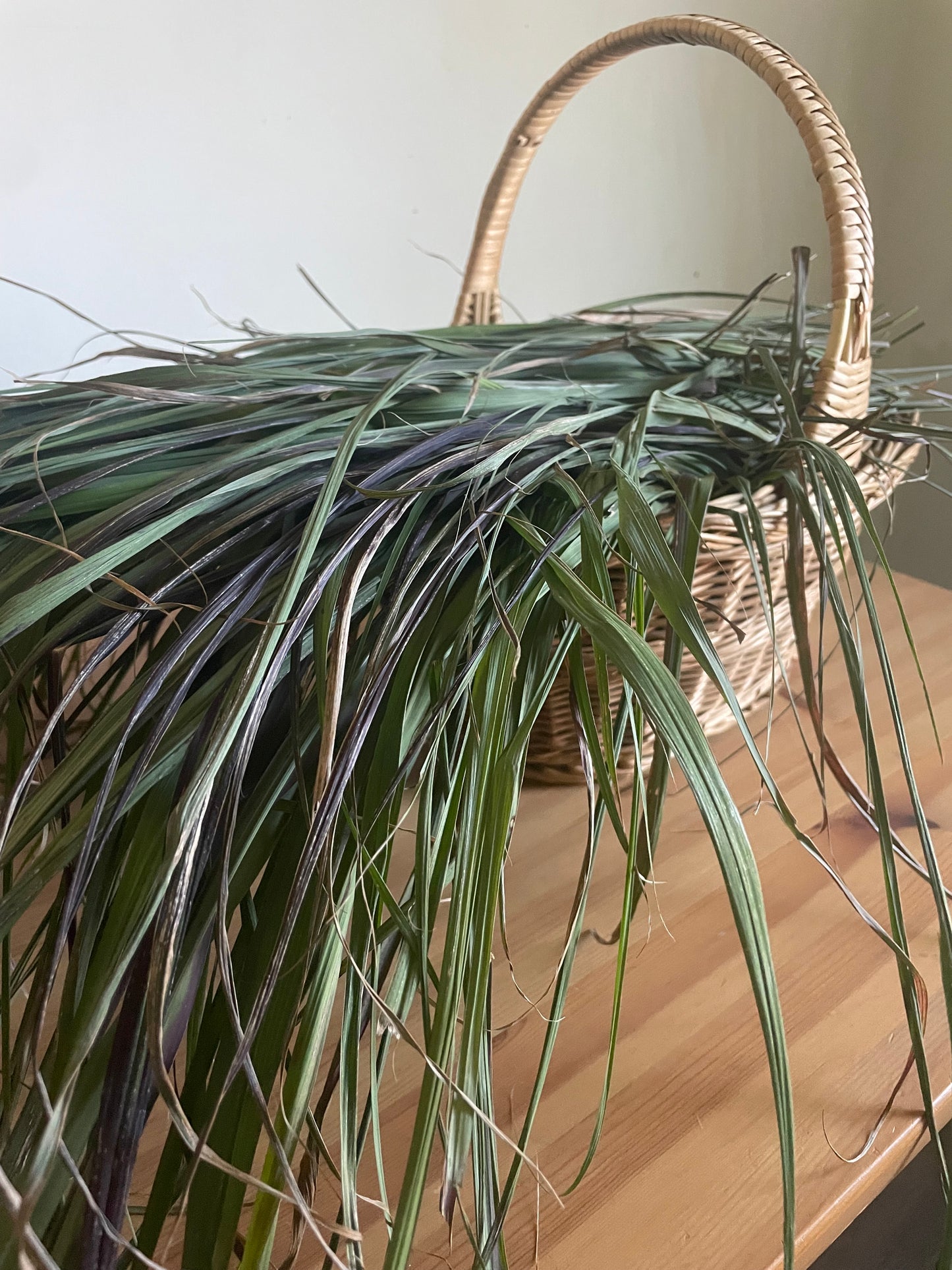 Lemongrass, Dried - Package Tea