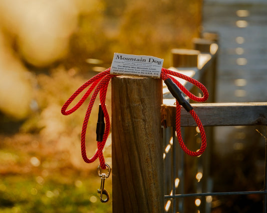 Mountain Dog Clip Leash