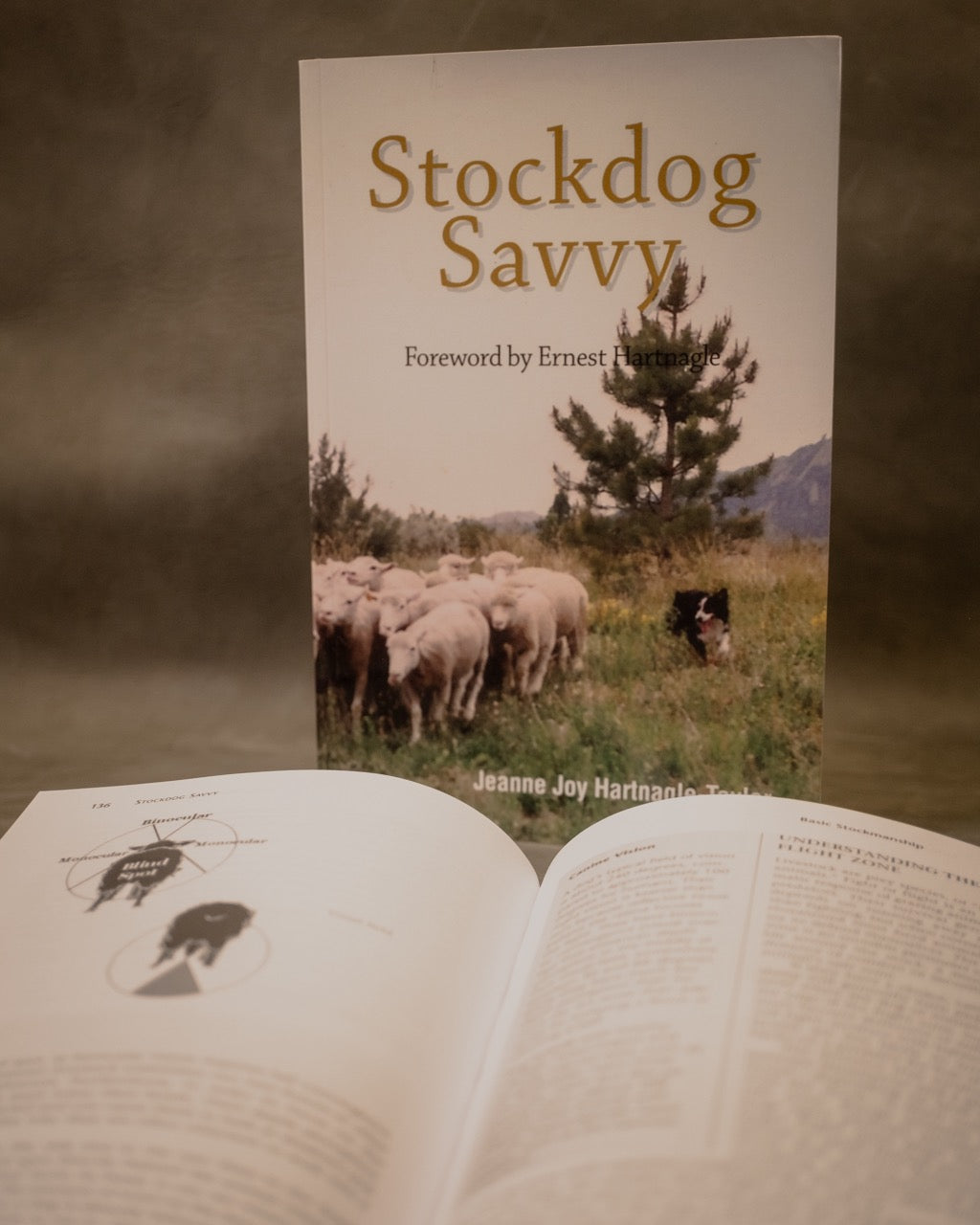 Stockdog Savvy