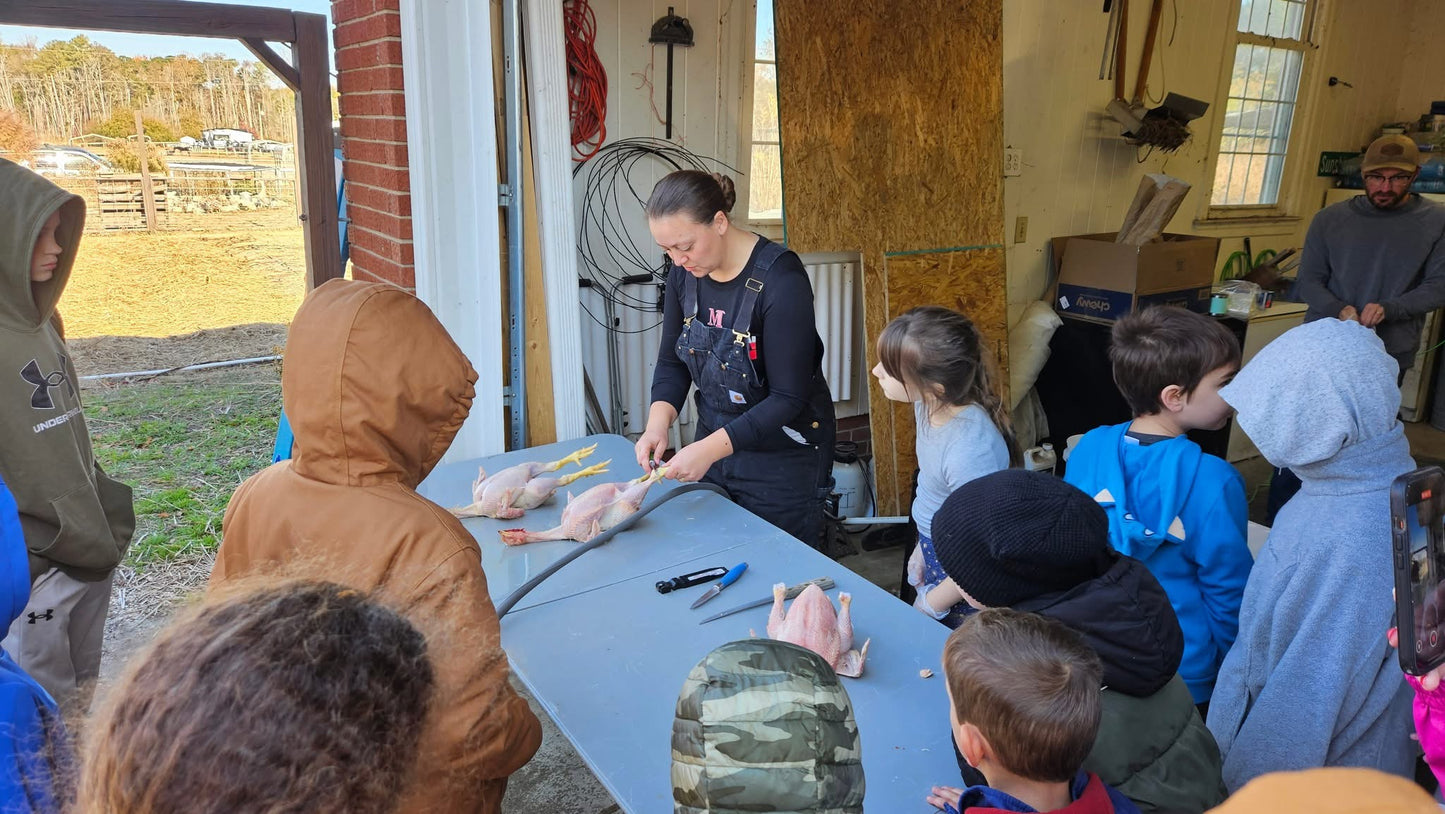 Homeschool Chicken Raising Course *Per Student*