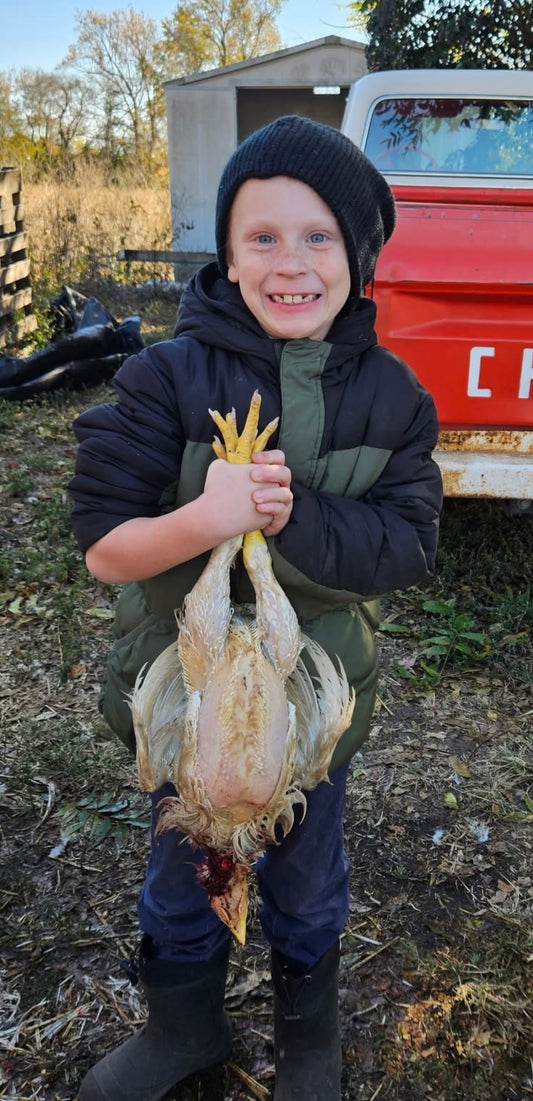 Homeschool Chicken Raising Course *Per Student*