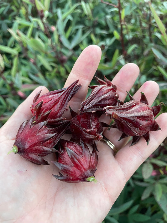 Roselle - Loose Leaf Tea
