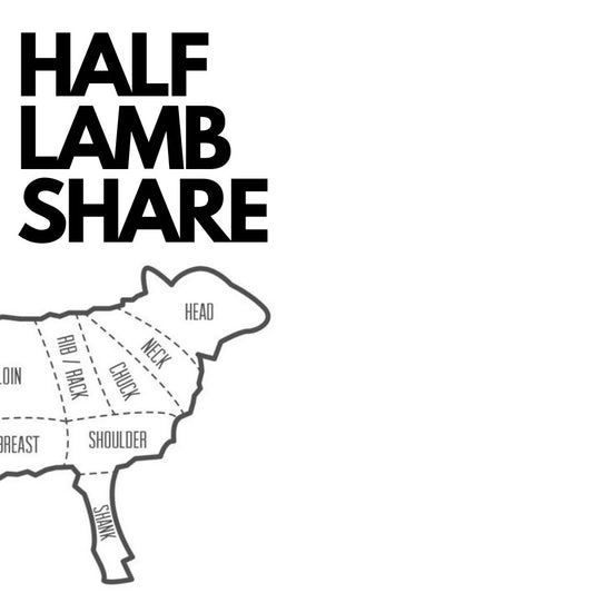 Lamb Share