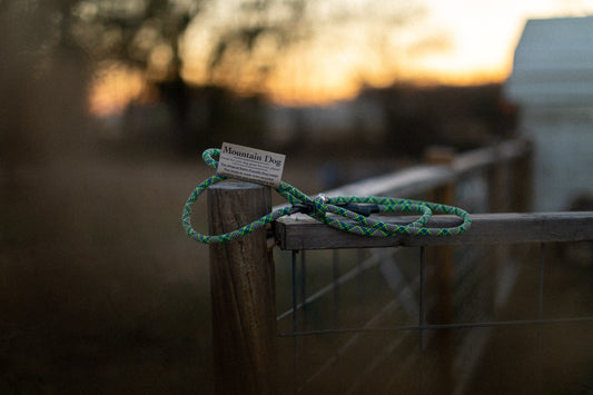 Mountain Dog Slip Leash