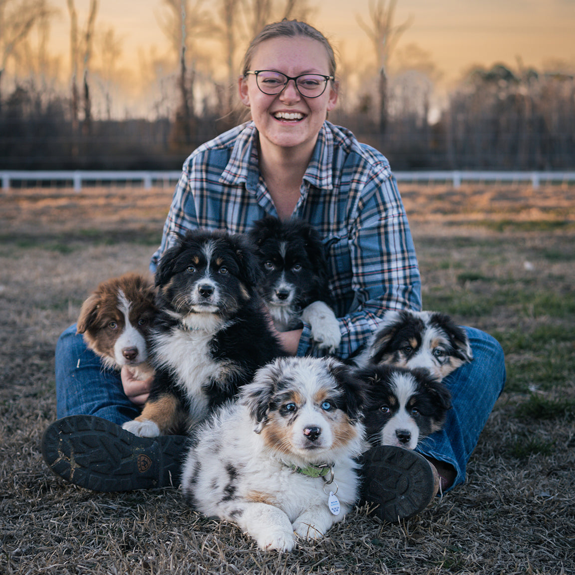 Photoshoot - Personal or Business