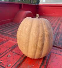 Dutch Fork Roasting Pumpkin